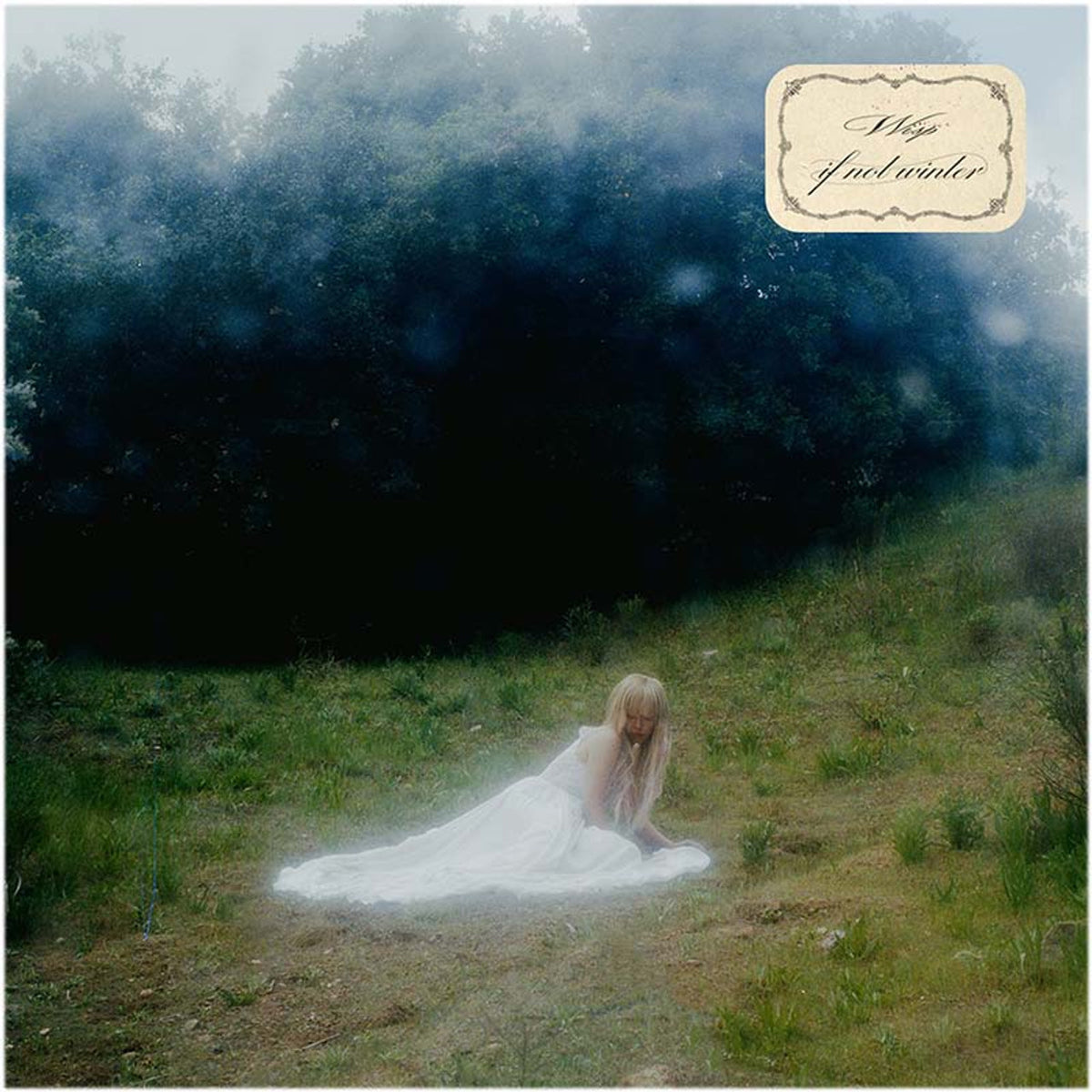 Wisp If Not Winter Green Vinyl レコード ウィスプ If Not Winter Vinyl - Wisp Official Store