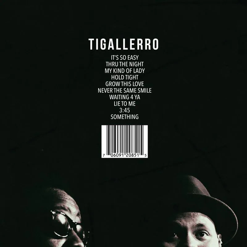 邦楽 Maximum Ratai'n Roll TESCLE&THE STOICS PHONTE & ERIC ROBERSON TIGALLERRO LP – Lunchbox Records