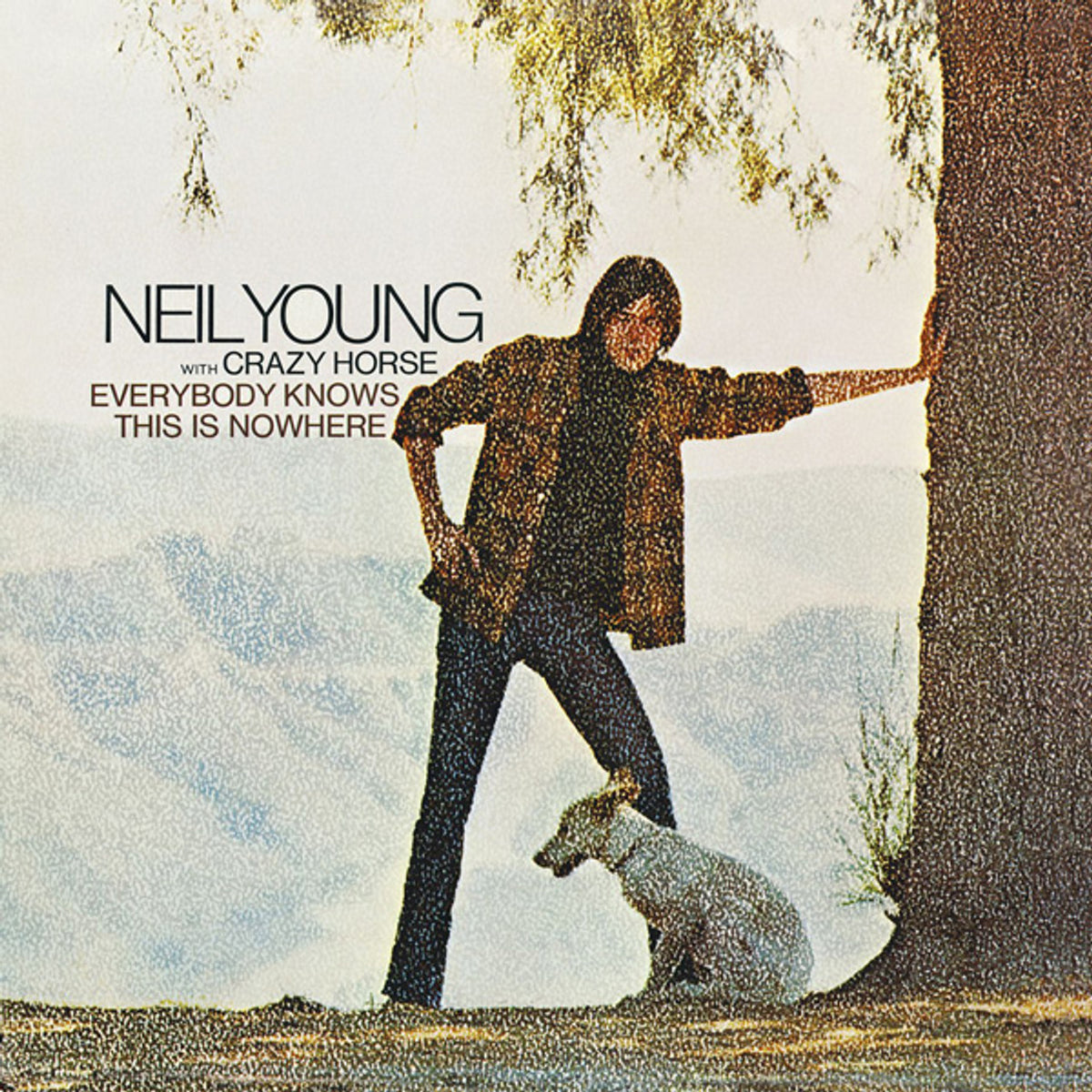 ■究極最高音質USオリジナルプロモ盤■NEIL YOUNG with CRA YOUNG,NEIL EVERYBODY KNOWS THIS IS NOWHER LP – Lunchbox Records