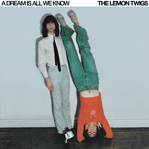 LEMON TWIGS – DREAM IS ALL WE KNOW - CD •