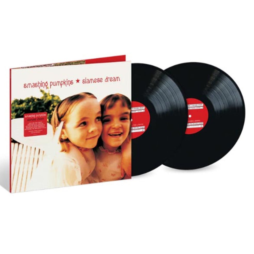 【廃盤】Smashing Pumpkins Siamese Dream Box Siamese Dream CD/DVD Box set (no CDs), Smashing Pumpkins (very