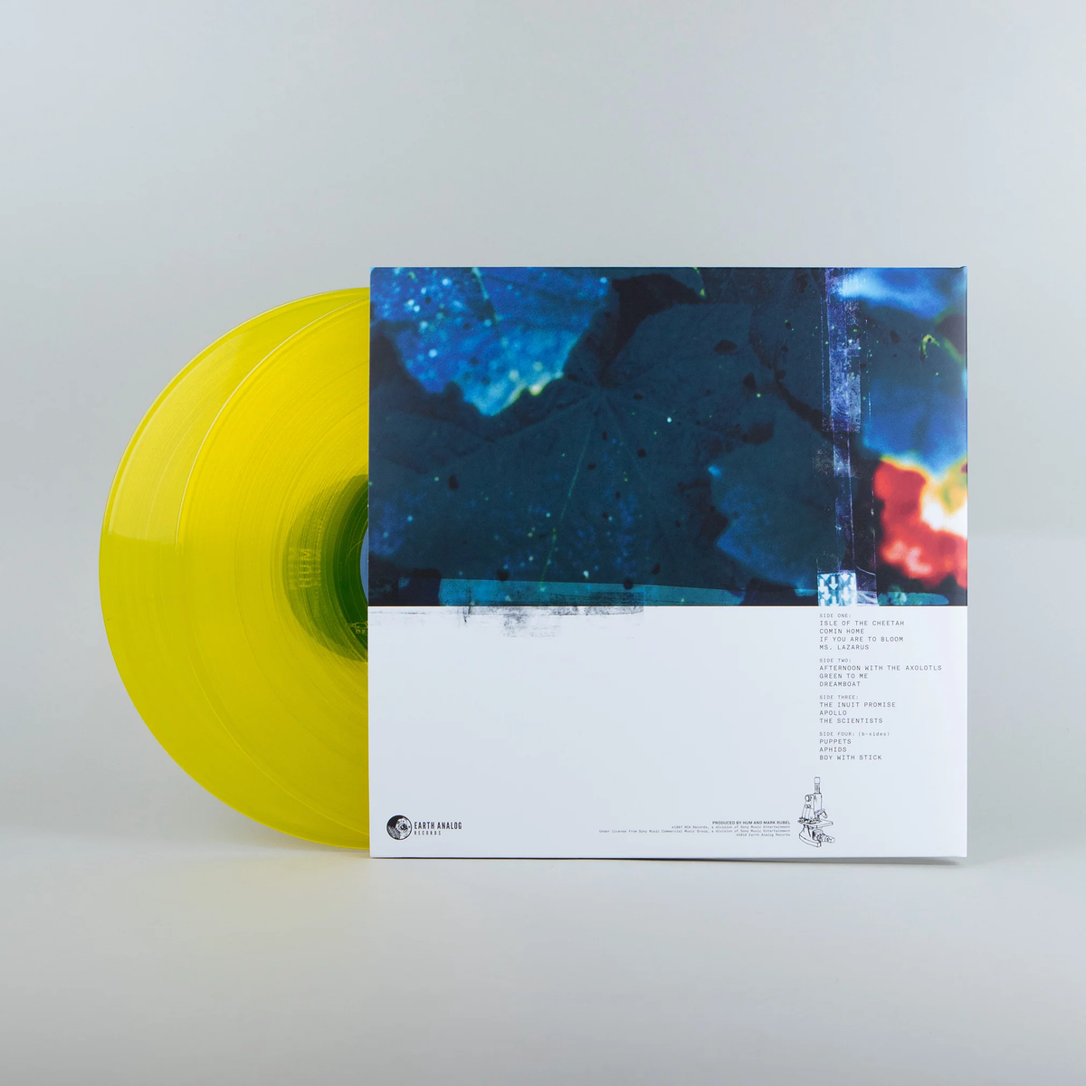 HUM Downword is Heavenward レコード HUM DOWNWARD IS HEAVENWARD (BONUS LP – Lunchbox Records