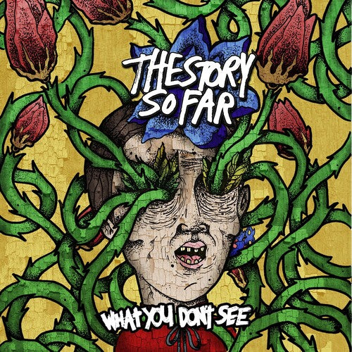 STORY SO FAR – WHAT YOU DON'T SEE (COLORED VINYL) - LP •