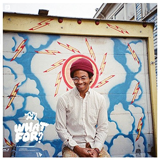 TORO Y MOI – WHAT FOR? - LP •