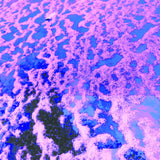 DWYER,JOHN – GONG SPLAT SESSIONS - LP •