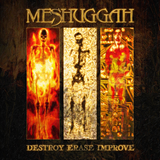 MESHUGGAH – DESTROY ERASE IMPROVE (SUNFLAREE VINYL) (RSD26) - LP •