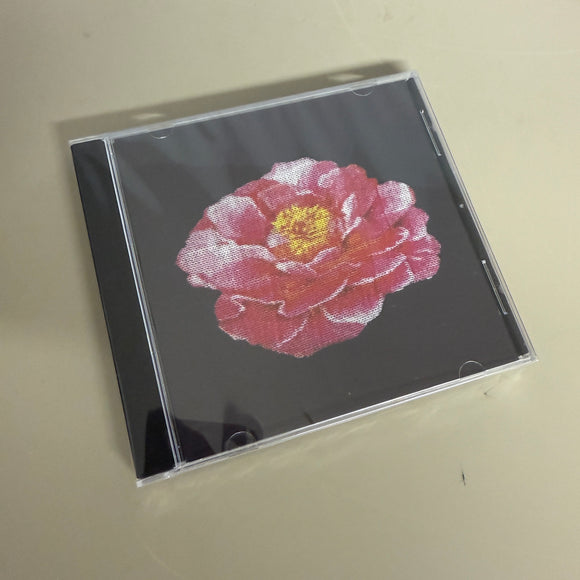 POST MALONE TRIBUTE TO NIRVANA CD – Lunchbox Records