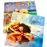 DE SOUZA,INDIGO – PRECIPICE (SIGNED INDIE EXCLUSIVE ECO-MIX) - LP •