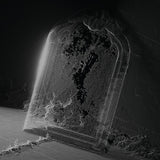 VISIBLE CLOAKS – PARADESSENCE (SILVER VINYL) - LP •