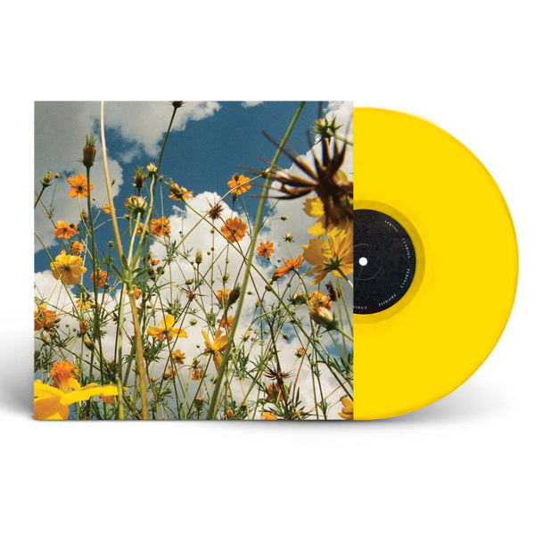 TASHA YOU ARE SPRING (YELLOW WILDFLO LP – Lunchbox Records