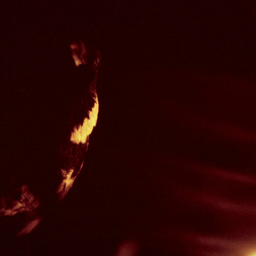 SKEPTICISM – STORMCROWFLEET (30TH ANNIVERSARY) - CD •