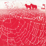 WEBB,ROGER – LIKE A FRIEND - LP •