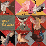 DOLLBAUM,THOMAS – BIRDS OF PARADISE (ROSEATE SPOONBILL PINK) - LP •