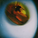 APRIL / VISTA – TRADITIONAL NOISE (FLY GREEN) - LP •