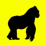 RUSOWSKY – DAISY (INDIE EXCLUSIVE YELLOW VINYL) - LP •