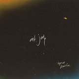 MT. JOY – HOPE WE HAVE FUN (COYOTE BROWN VINYL) - LP •