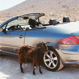 EXEK – PROVE THE MOUNTAINS MOVE - LP •