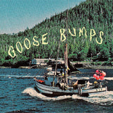 BOYSCOTT – GOOSE BUMPS (BLUE MARBLE) - LP •