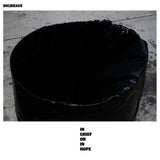 BIG/BRAVE – IN GRIEF OR IN HOPE (INDIE EXCLUSIVE CLEAR PINK) - LP •