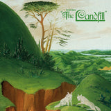 FRUIT BATS – LANDFILL  (INDIE EXCLUSIVE PINK SPLATTER IN CLEAR) - LP •