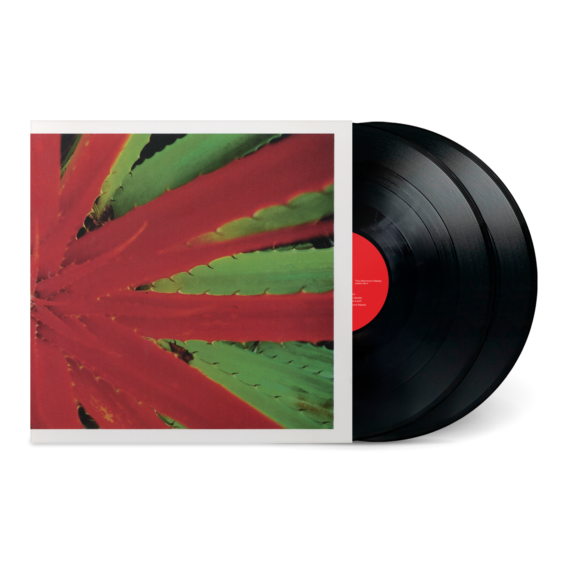 JEJUNE THIS AFTERNOONS MALADY LP – Lunchbox Records