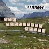 GRANDADDY – SOPHTWARE SLUMP (BLUE COLOR IN COLOR) - LP •