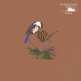 PEEL DREAM MAGAZINE – TAURUS (YELLOW SHELL)  - TAPE •