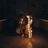 JANE REMOVER – REVENGESEEKERZ (INDIE EXCLUSIVE ORANGE VINYL) - LP •