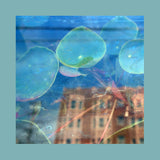 REDS PINKS & PURPLES – ACKNOWLEDGE KINDNESS (INDIE EXCLUSIVE SUBCONSCIOUS WINDOW PANE VINYL) - LP •