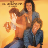 WALKER BROTHERS – NO REGRETS (180 GRAM YELLOW RED ORANGE MARBLE)- LP •