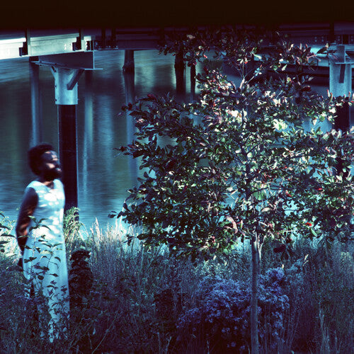 JJJJJEROME ELLIS – VESPER SPARROW - LP •