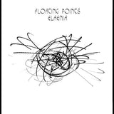 FLOATING POINTS – ELAENIA / KUIPER  (10TH ANNIVERSARY COLORED VINYL) - LP •
