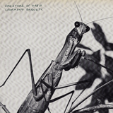 BARNETT,COURTNEY – CREATURE OF HABIT (INDIE EXCLUSIVE CARAMEL VINYL) - LP •