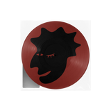 KAYTRANADA – AIN'T NO DAMN WAY (PICTURE DISC) LP <br>PREORDER out 1/9/2026 •