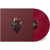 THAO & THE GET DOWN STAY DOWN – KNOW BETTER LEARN FASTER (RED VINYL - LP •