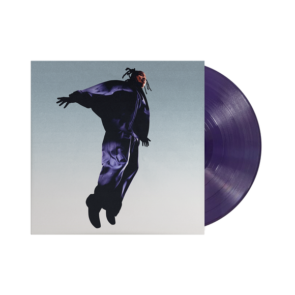 MAVI – THE PLOT (DARK PURPLE VINYL) LP <br>PREORDER out 3/27/2026 •
