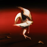 MARUJA – PAIN TO POWER - LP •