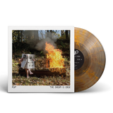 PUP – DREAM IS OVER (CLEAR W/ RED & ORANGE SWIRL W/ LENTICULAR COVER) - LP •