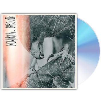 AUTHOR & PUNISHER – NOCTURNAL BIRDING - CD •