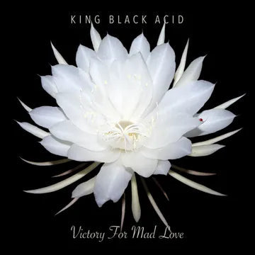 KING BLACK ACID – VICTORY FOR MAD LOVE (RSD24) - LP •