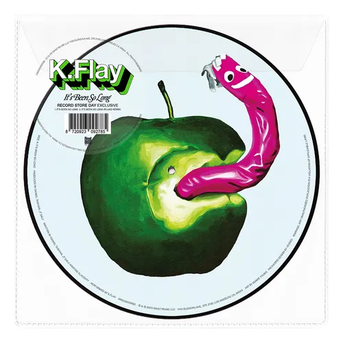 K.FLAY – IT'S BEEN SO LONG  (PICTURE DISC) (RSD BLACK FRIDAY 2023) - 7