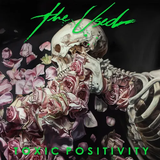 USED – TOXIC POSITIVITY (INDIE EXCLUSIVE PICTURE DISC) - LP •