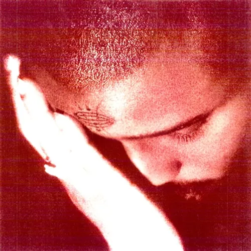 NOURISHED BY TIME – PASSIONATE ONES - CD •