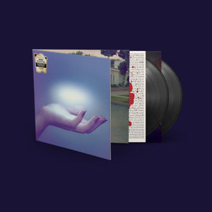 SPOON – THEY WANT MY SOUL (DELUXE 10TH ANNIVERSARY EDITION) 2XLP <br>PREORDER out 11/8/2024 •