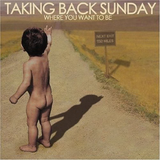 TAKING BACK SUNDAY – WHERE YOU WANT TO BE (BROWN VINYL INDIE EXCLUSIVE) - LP •