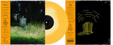 CARTER,FRANK & THE RATTLESNAKE – DARK RAINBOW (HONEY VINYL INDIE EXCLUSIVE) - LP •