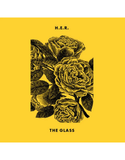 H.E.R. / FOO FIGHTERS – GLASS (INDIE EXCLUSIVE) - 7" •
