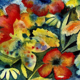 LENKER,ADRIANNE – SONGS AND INSTRUMENTALS - CD •