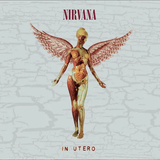 NIRVANA – IN UTERO (30TH ANNIVERSARY - SUPER DELUXE 5CD BOX) - CD •