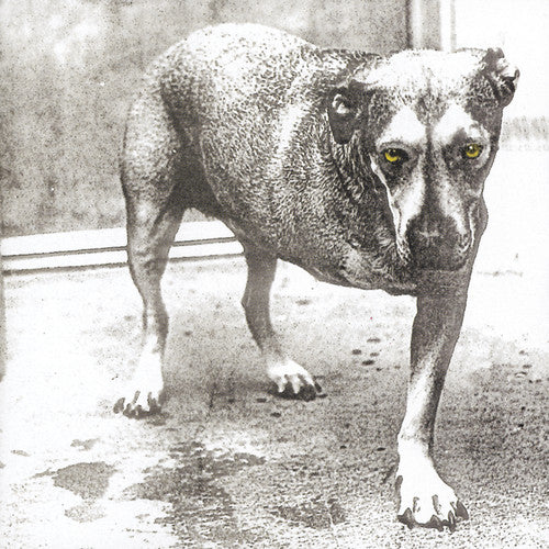 ALICE IN CHAINS – ALICE IN CHAINS - CD •